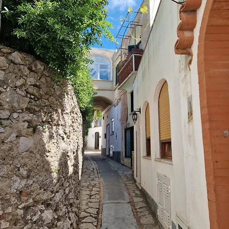 Lejlighed Casetta Milu Anacapri (Isola di Capri)